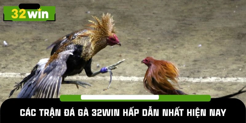 Các hình thức đá gà 32Win thịnh hành hiện nay
