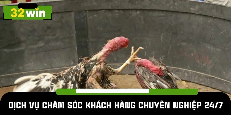 Dịch vụ chăm sóc khách hàng khi trải nghiệm đá gà 32win