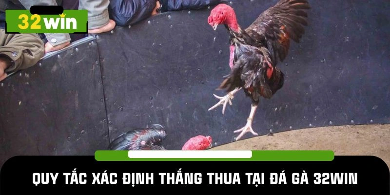 Quy tắc xác định thắng thua tại đá gà 32Win