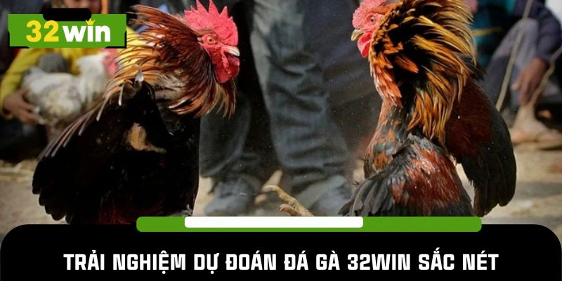 Trải nghiệm dự đoán đá gà 32Win sắc nét