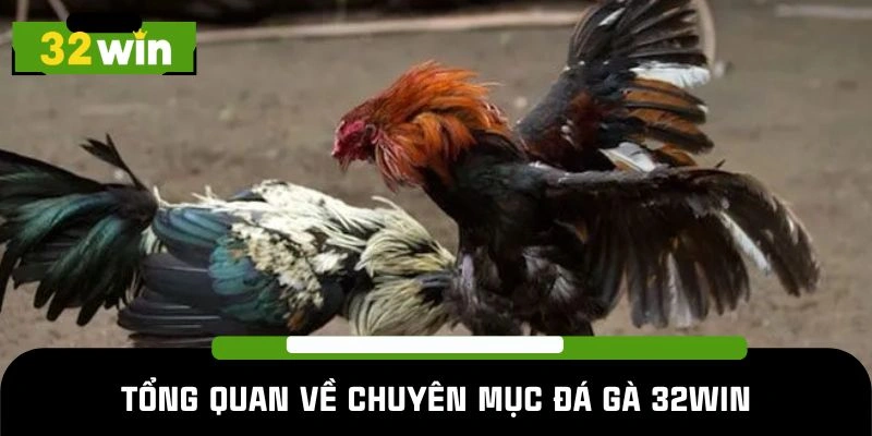 Khái quát về chuyên mục đá gà 32Win