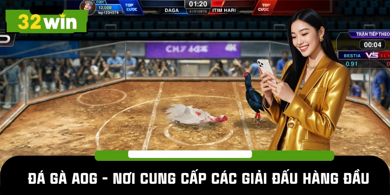 Đá gà AOG