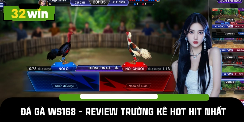 Đá gà WS168
