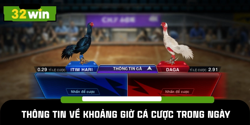 Khung giờ đá gà WS168 mở cổng đặt tiền