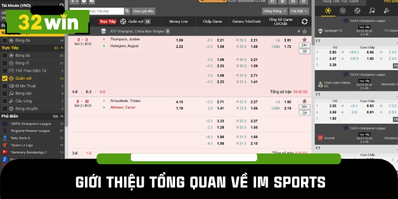 Những yếu tố chính cần quan tâm về IM Sports