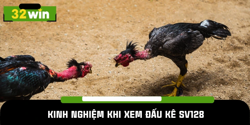 Bí quyết tham gia trận đấu tại sảnh đá gà SV128