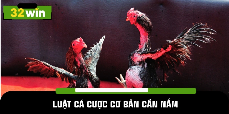 Nguyên tắc thi đấu chính tại đá gà SV128