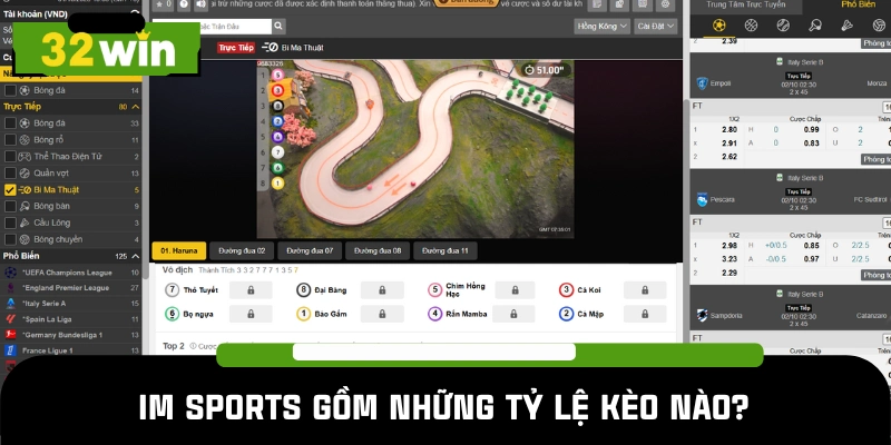 Top tỷ lệ kèo thu hút đông đảo người chơi IM Sports